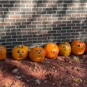 Merci aux élèves de 1e pour les belles citrouilles qui décorent le devant de notre belle école! 